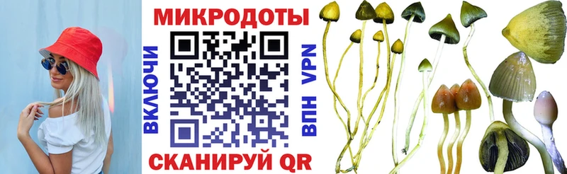 что такое   Певек  Галлюциногенные грибы Cubensis 